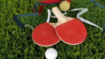 Table tennis betting: success factors in this sport